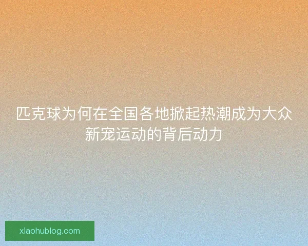 匹克球为何在全国各地掀起热潮成为大众新宠运动的背后动力 匹克球为何在全国各地掀起热潮成为大众新宠运动的背后动力