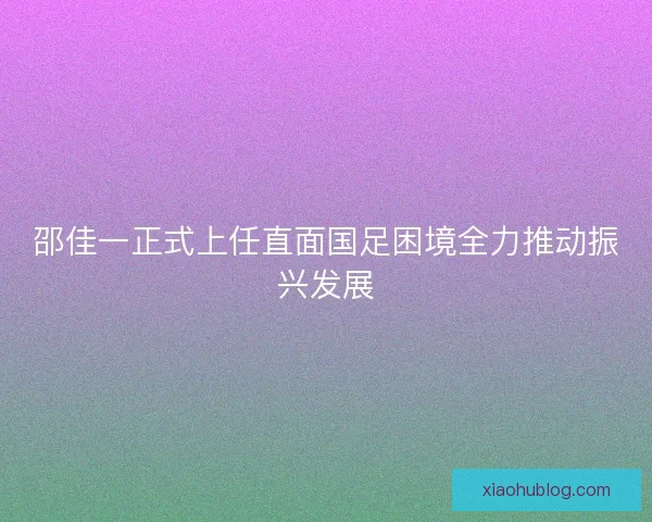 邵佳一正式上任直面国足困境全力推动振兴发展
