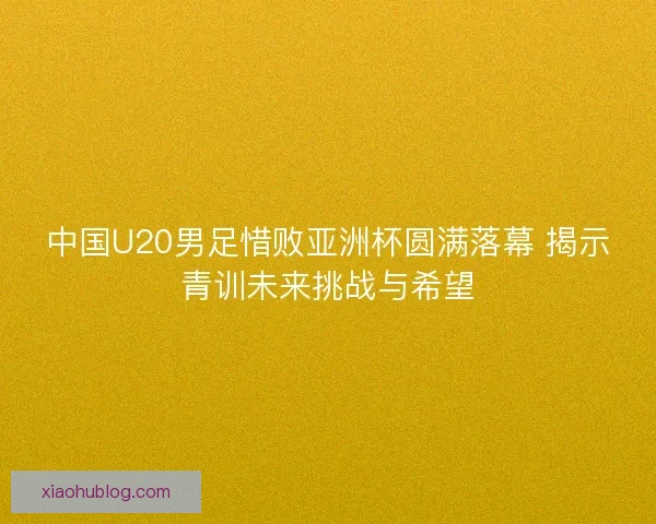 中国U20男足惜败亚洲杯圆满落幕 揭示青训未来挑战与希望