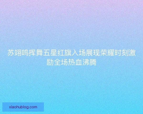 苏翊鸣挥舞五星红旗入场展现荣耀时刻激励全场热血沸腾 苏翊鸣挥舞五星红旗入场展现荣耀时刻激励全场热血沸腾